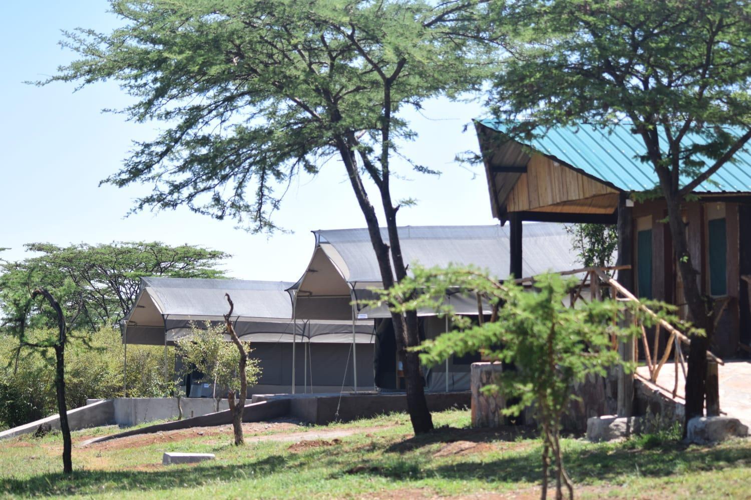 Maasai Mara Safari Camp In Kenya Panzió Sekenani Kültér fotó