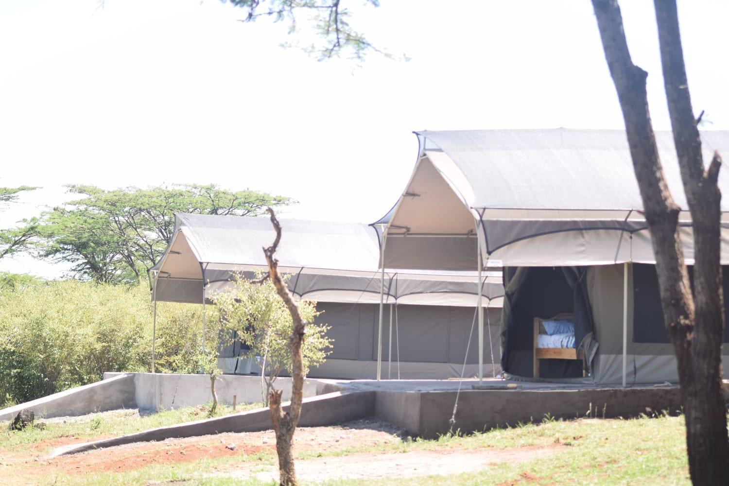 Maasai Mara Safari Camp In Kenya Panzió Sekenani Kültér fotó